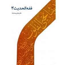 کتاب فقه الحدیث 3