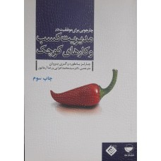 کتاب چارچوبی برای موفقیت در مدیریت کسب و کار های کوچک 